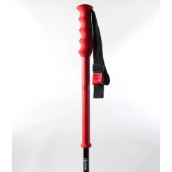 DPS Extendable Pole -Deutschland Salomon Verkaufs-Shop DPS extend carbon pole 4 grip 1