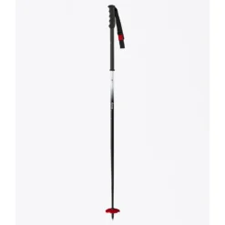 DPS Fixed Aluminium Pole -Deutschland Salomon Verkaufs-Shop dps fixed aluminium pole 1